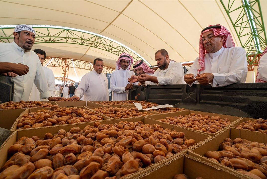 Al-Ahsa Date Harvest Season