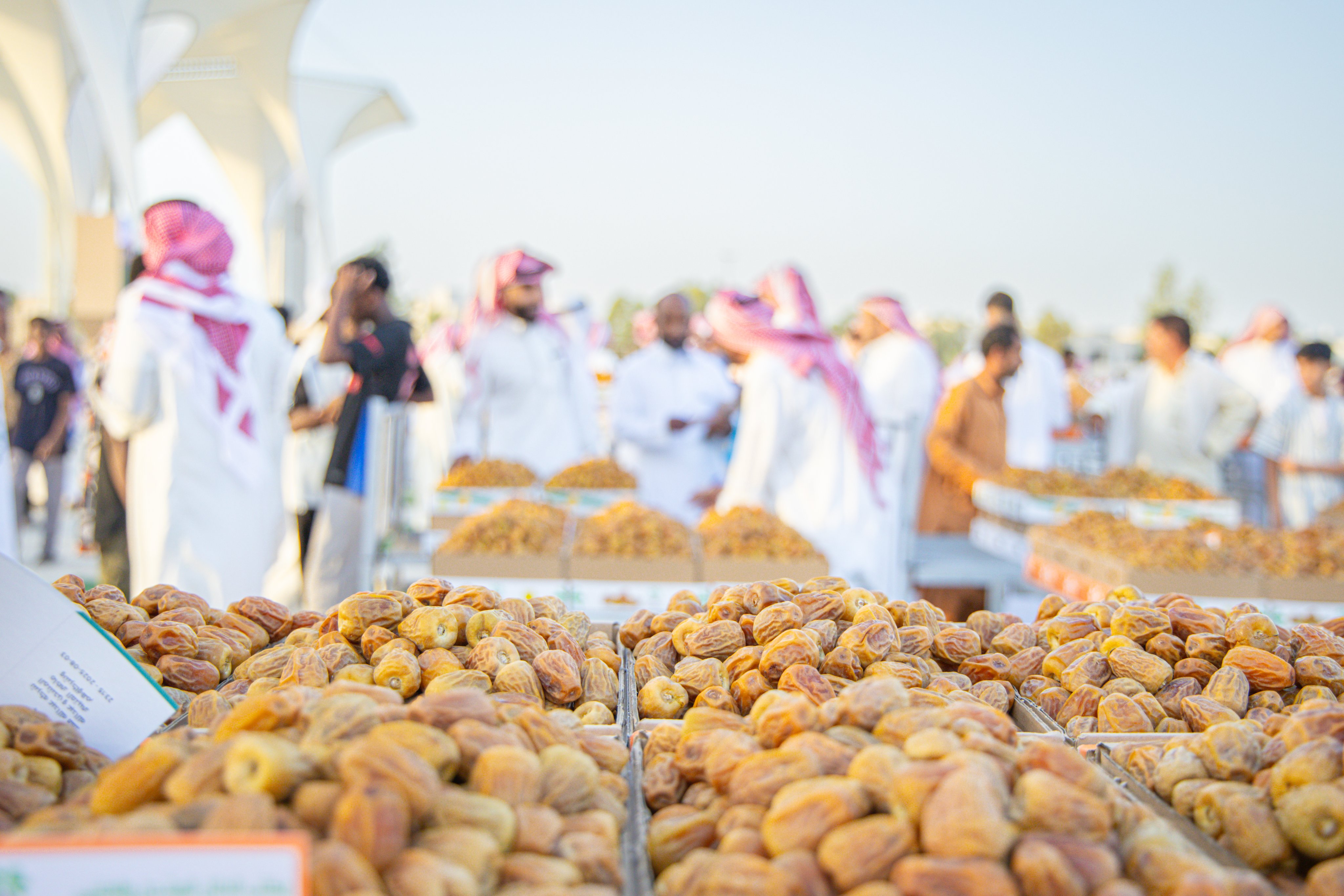 موسم عنيزة الدولي للتمور